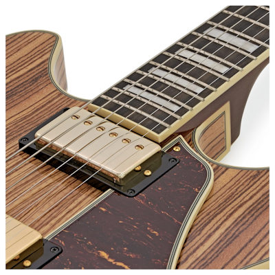 Ibanez AS93ZW-NT